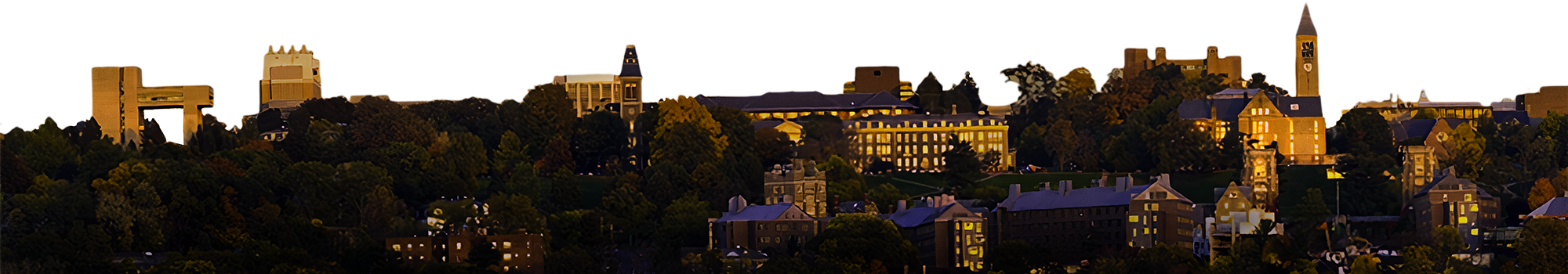 Cornell Skyline